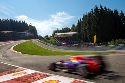 Daniel Ricciardo, Red Bull Racing RB11