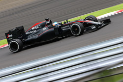 Fernando Alonso, McLaren MP4-30