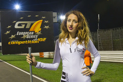 Pitspoes op de startopstelling