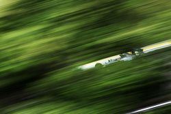 Lewis Hamilton, Mercedes AMG F1 W06