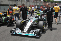 Nico Rosberg, Mercedes AMG F1 W06 op de grid