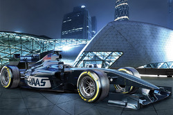Revelación de Haas
