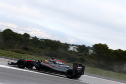 Stoffel Vandoorne, McLaren MP4-30
