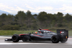 Stoffel Vandoorne, McLaren MP4-30